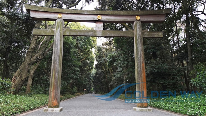 Du học Nhật bản-Meiji Shrine