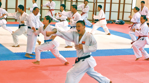 học võ thuật karate tại vinh nghệ an